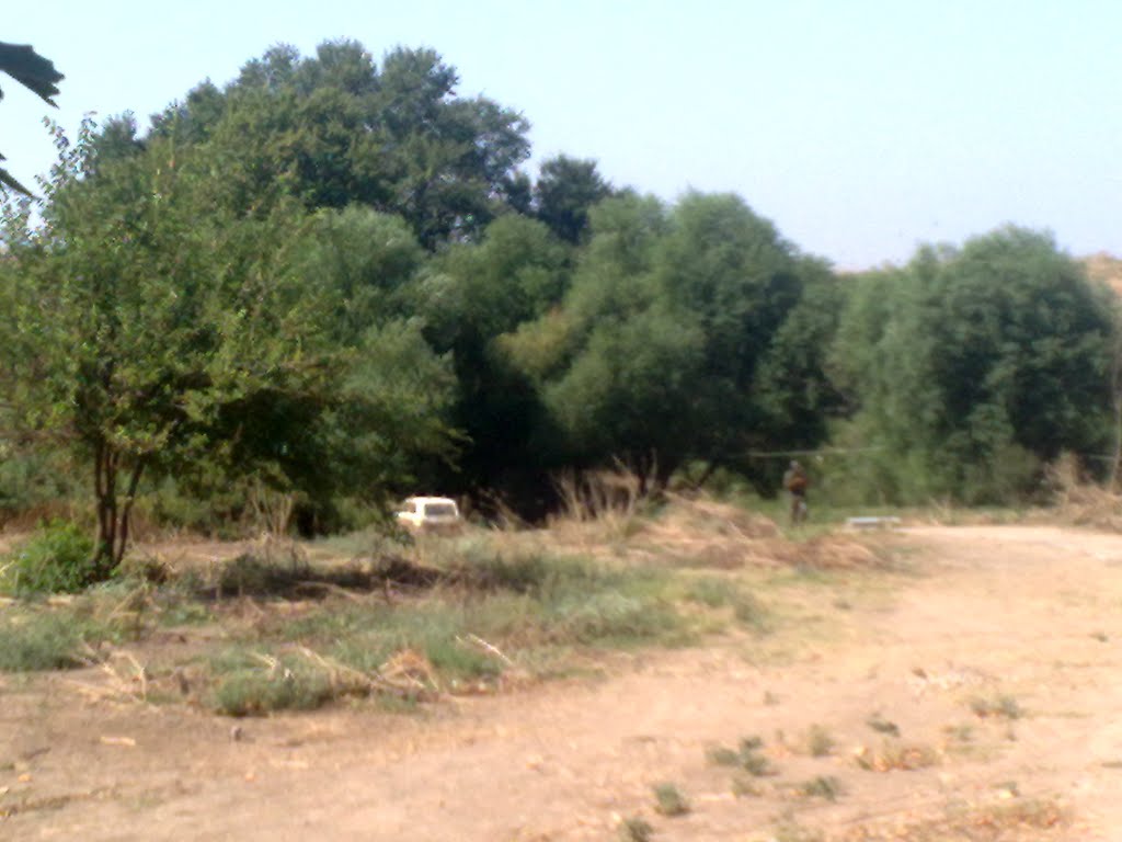 Fuzuli