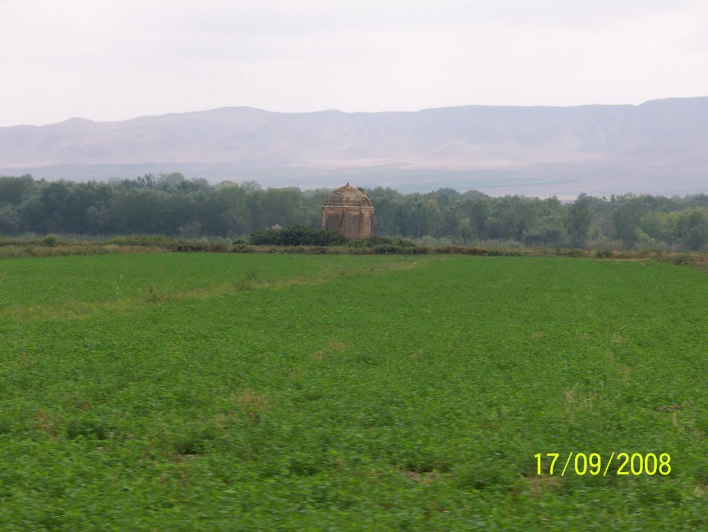 Ehmedalilar
