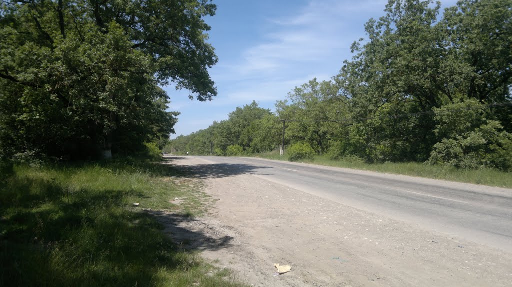 По дороге в Худат