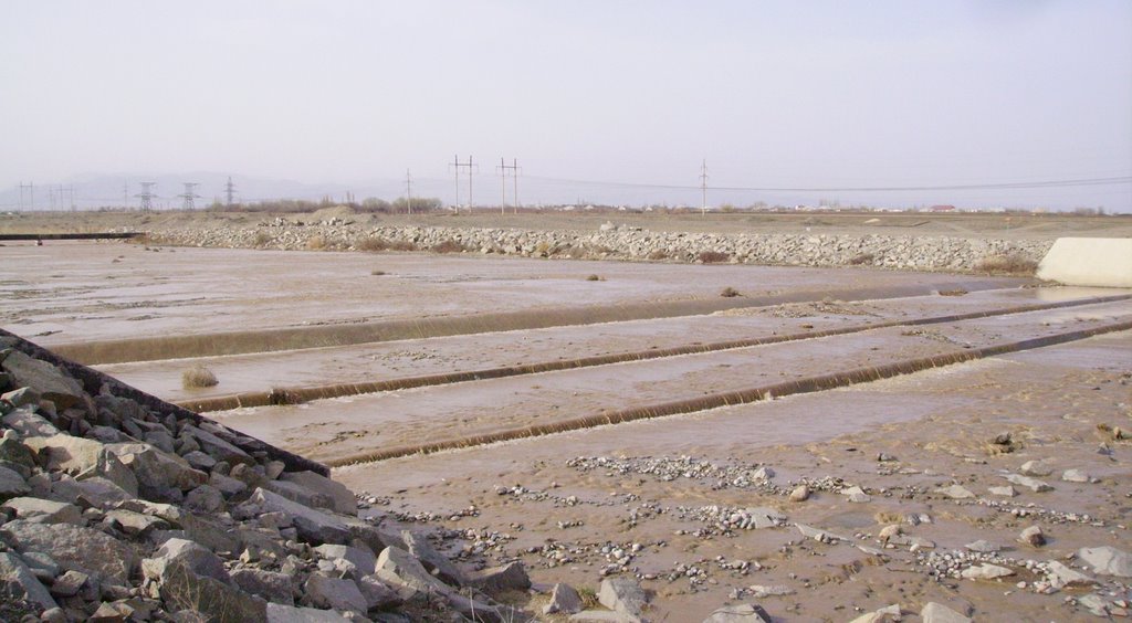 Qarayeri