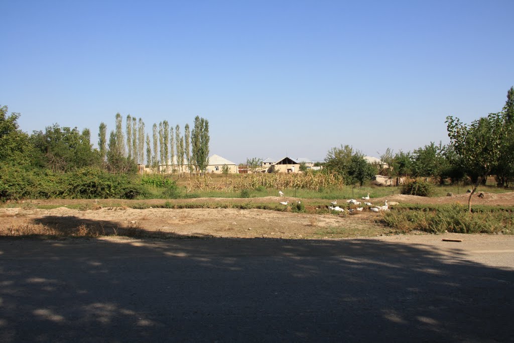 Könüllü