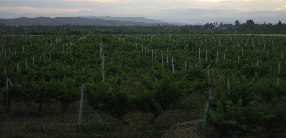 07.06.2008 Sheki - Şəki