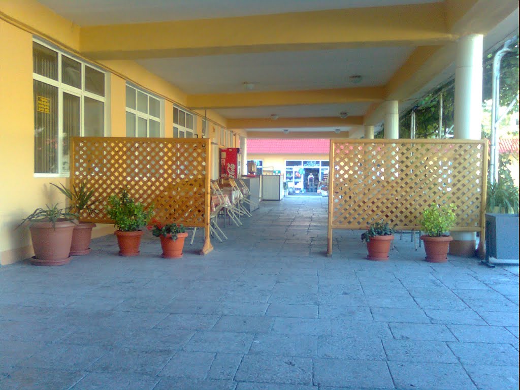 SHEKi AVTOVAQZAL