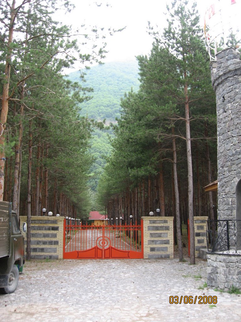 Şəki