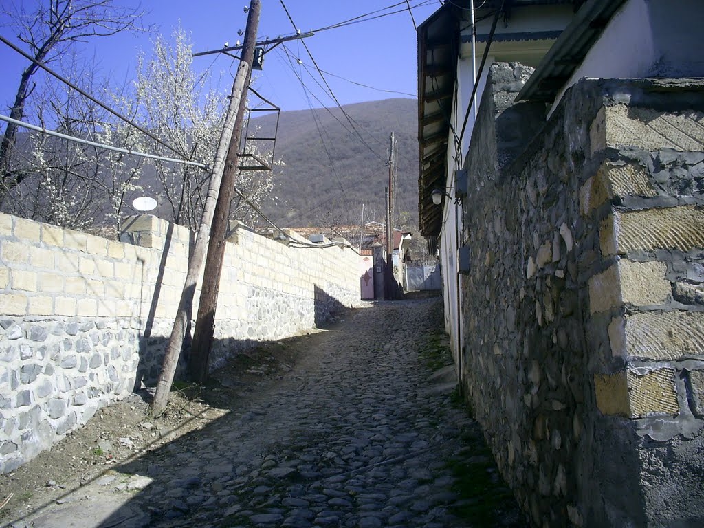 Sheki Khan Palace