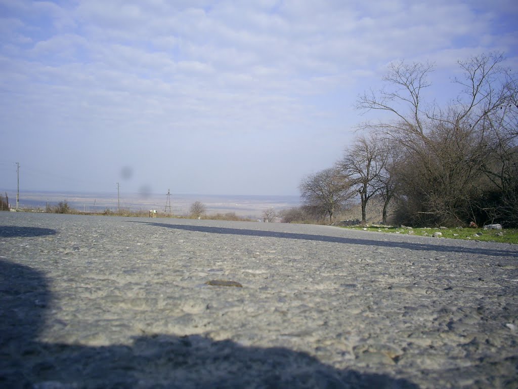 The Way of Zunud