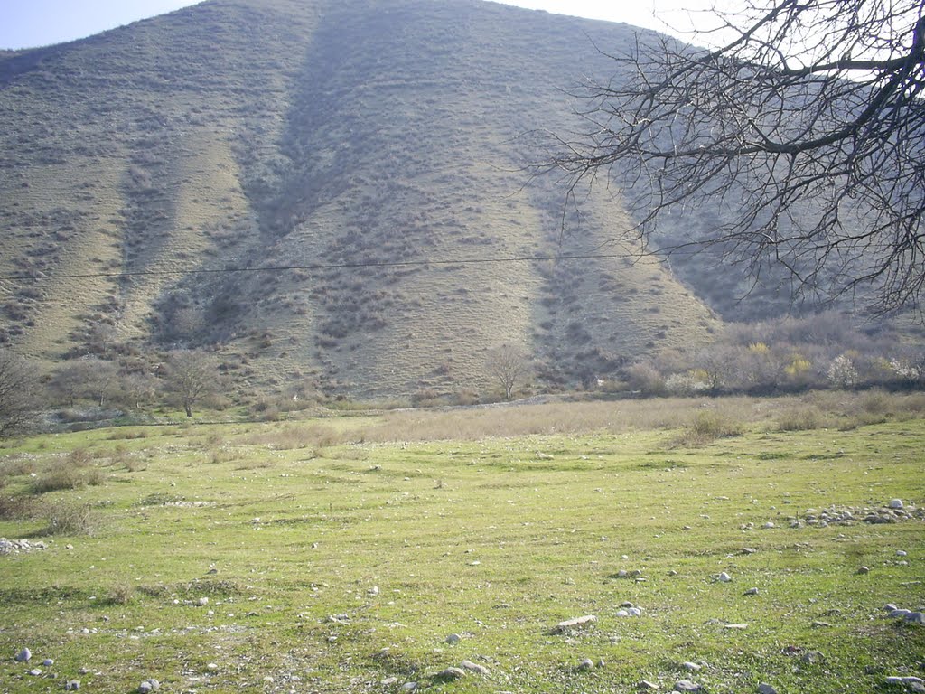 Sheki