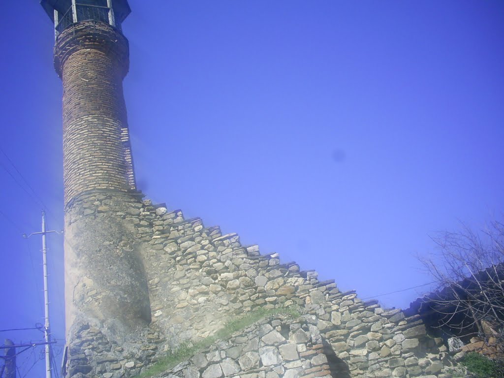 Sheki