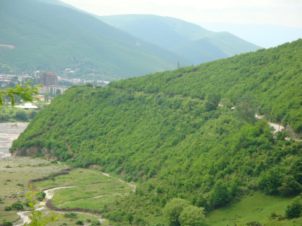 Bergstrasse2