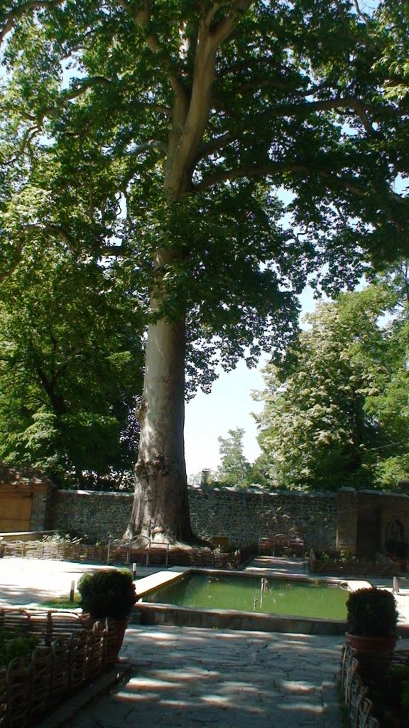 seki xan sarayi 3