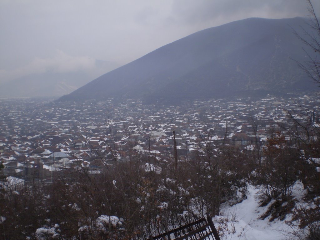 Sheki