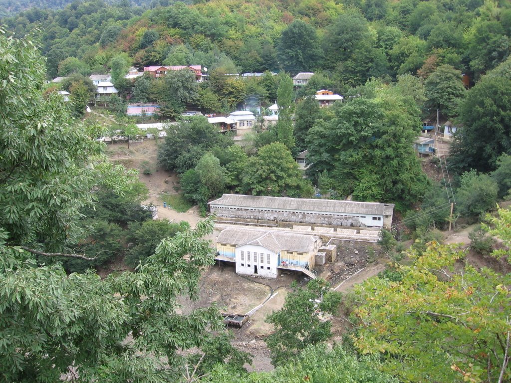 Masally