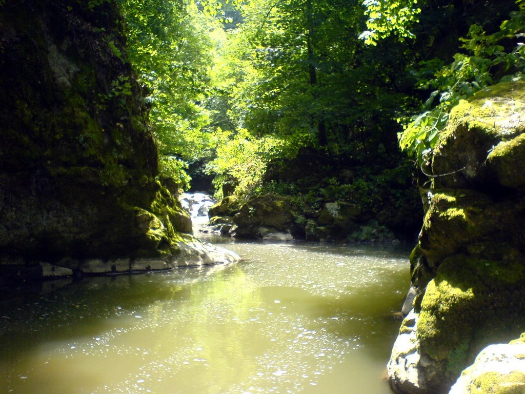 river in Lenkoran region