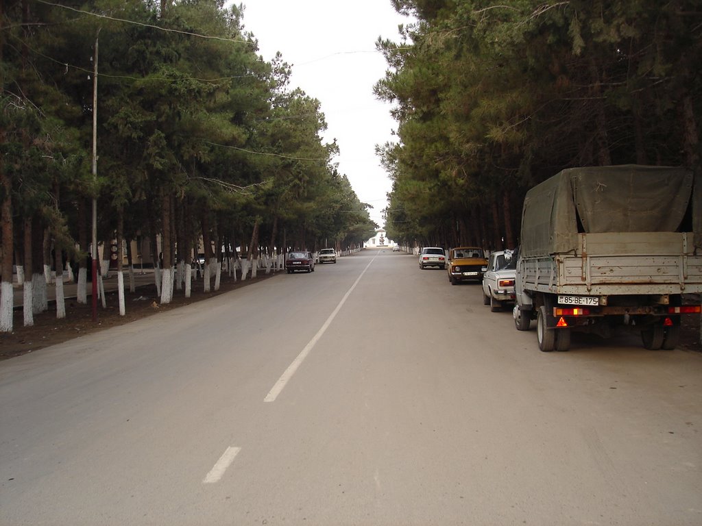 Azerbaijan Imishli (Azərbaycan İmişli Rayonu)