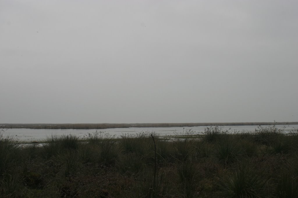 Caspian Sea, Azerbaijan