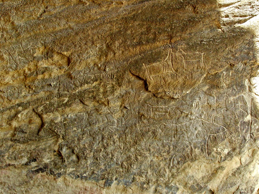 Rock petroglyphs/ Наскальные изображения