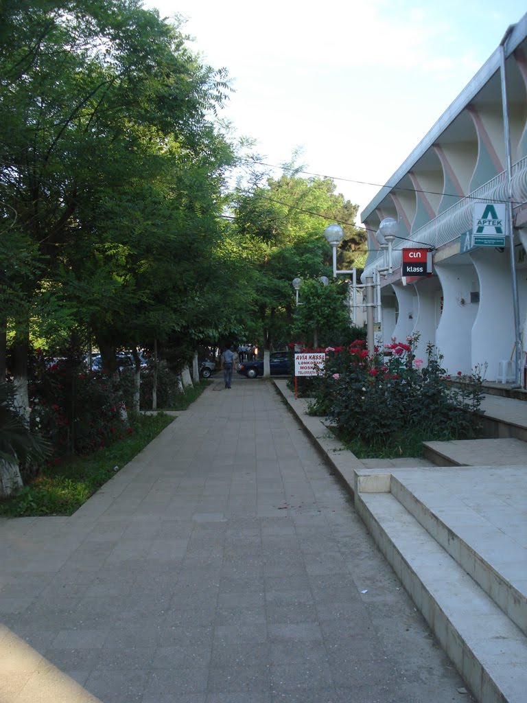 Pushkino
