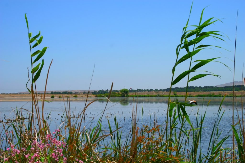 رود ارس-Araz river