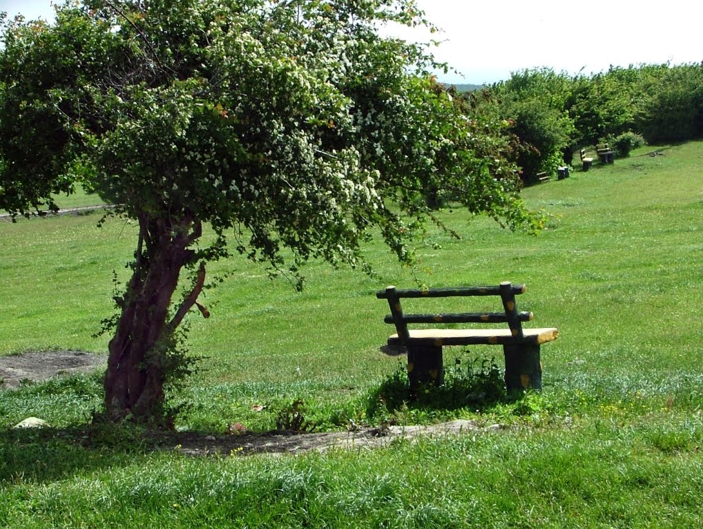 شمال اردبیل