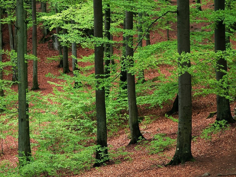 красота природы