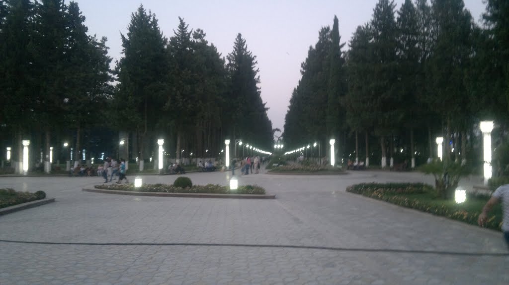 Agdash Heyder Aliyev parki 2