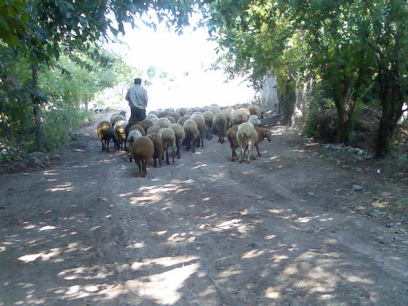 In the village