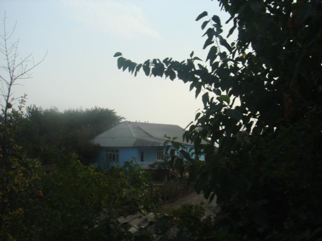 http://www.mahabadsafar.blogsky.com/                                  1387/6/7-Azarbayjan-Astaraآذربایجان-آستارا