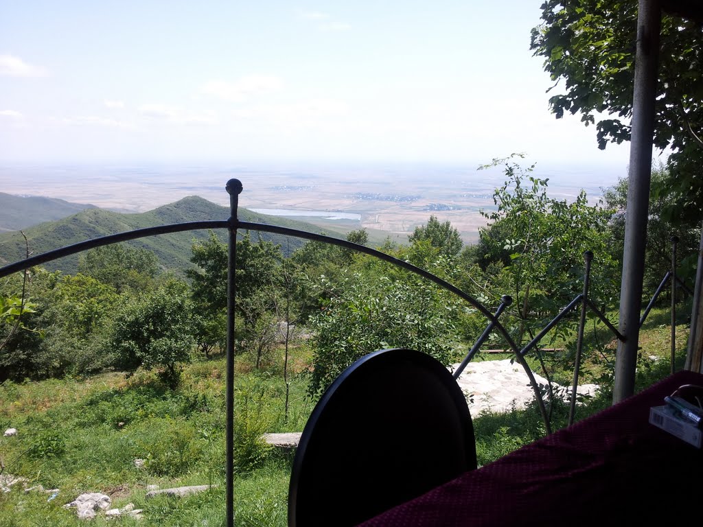 Agsu