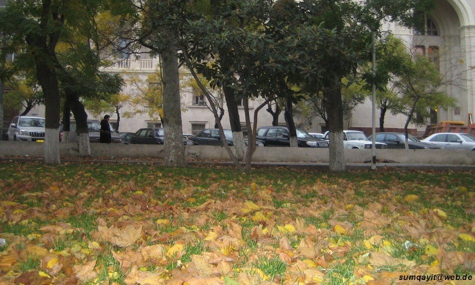 22.11.2007 Baku