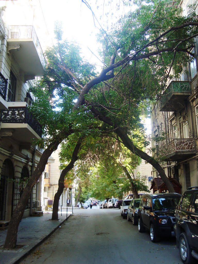 08.10.2011 Baku