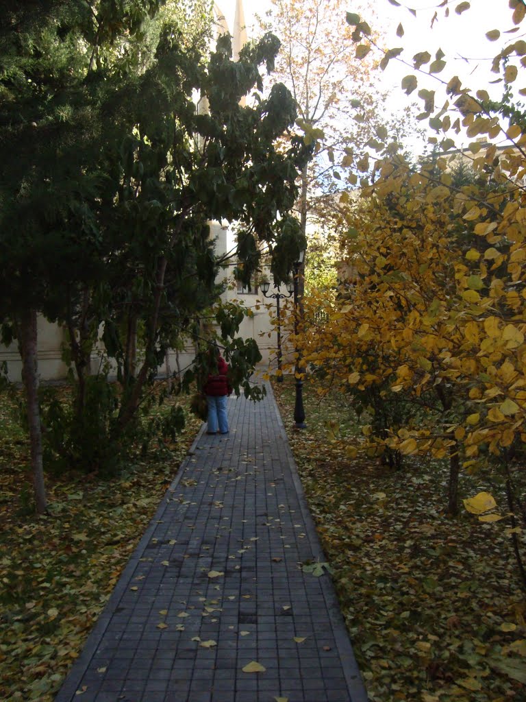 27.11.2011 Baku