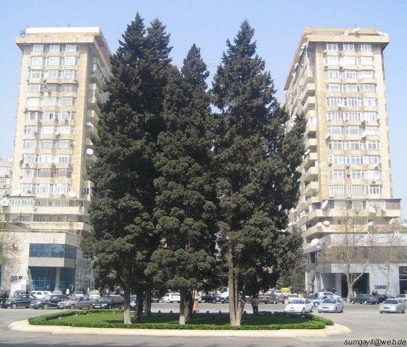 30.03.2008 Bakı