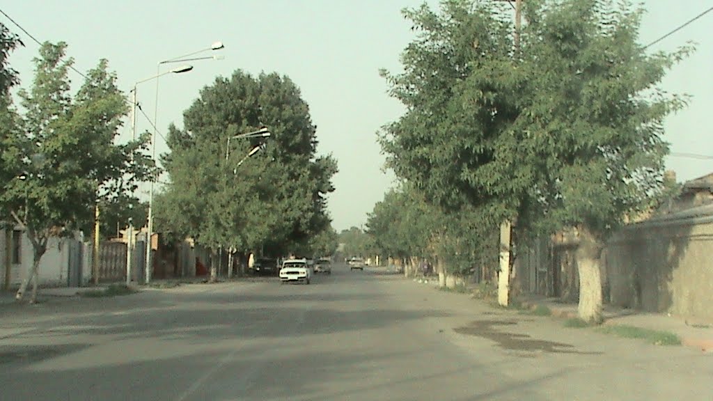 GOZAL BARDA