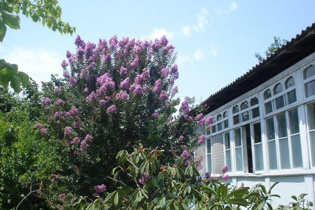02.07.2011 Bərdə