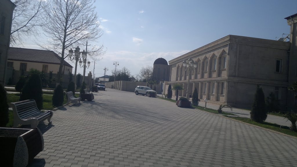 Bərdə mərkəz 21.03.2013