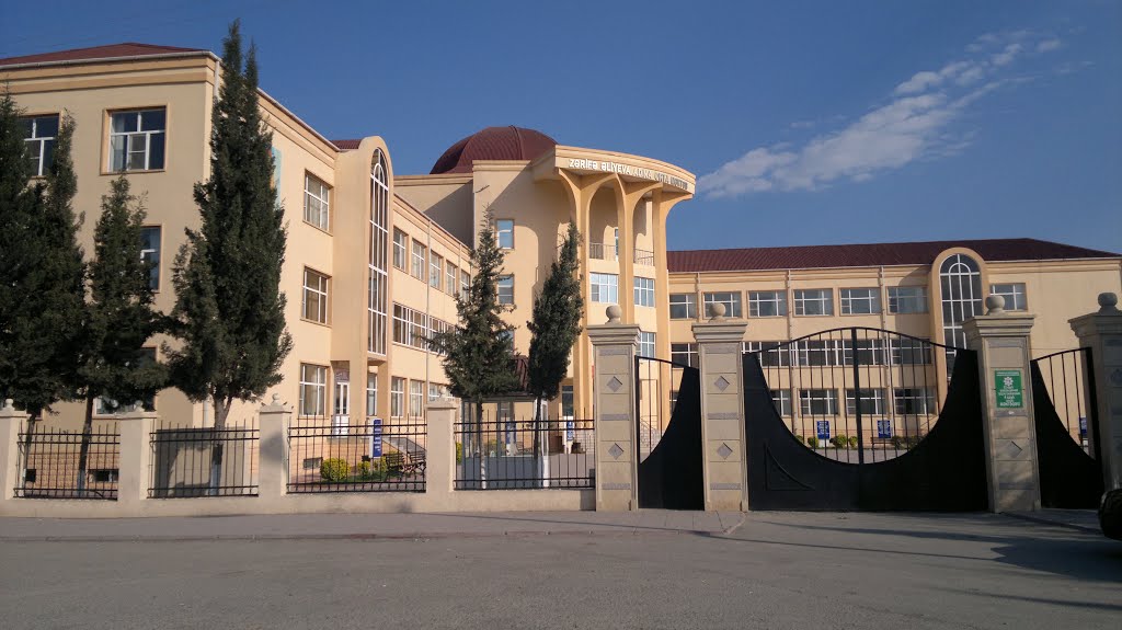 Bərdə Zərifə Əliyeva adına orta məktəb 21.03.2013