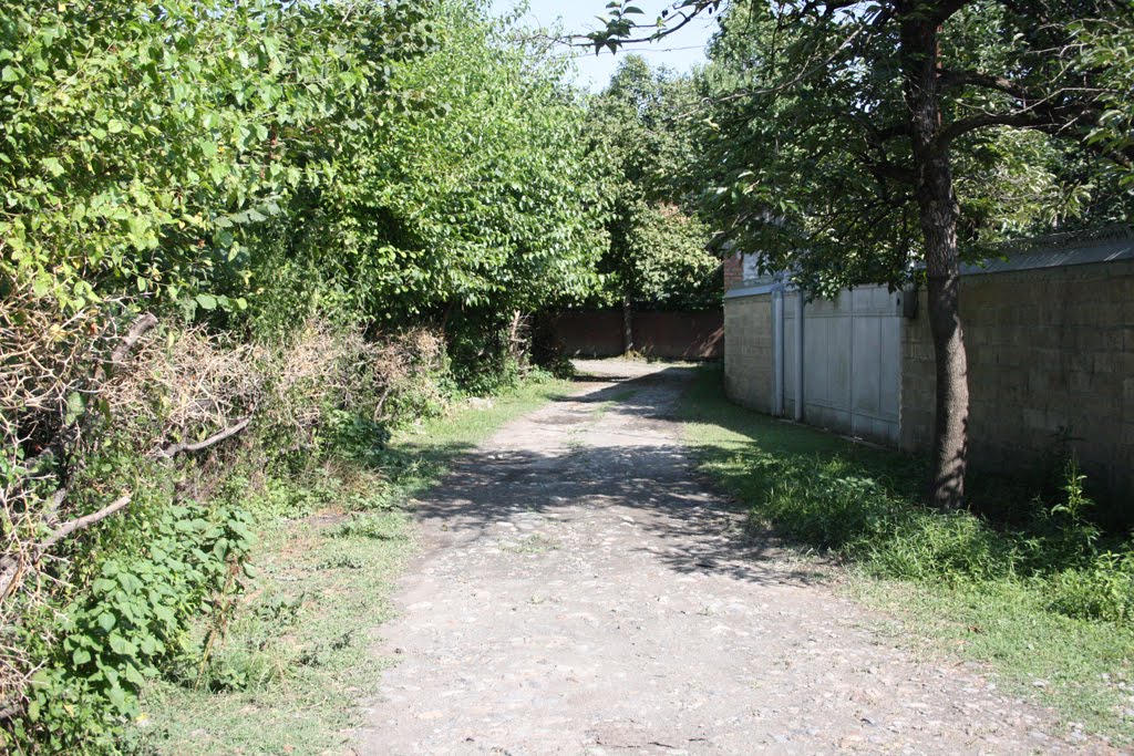 Belokany