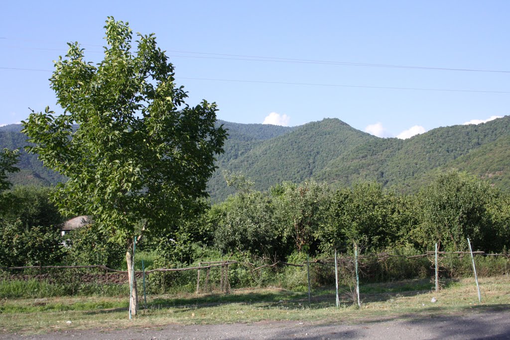 14.07.2010 Balakən