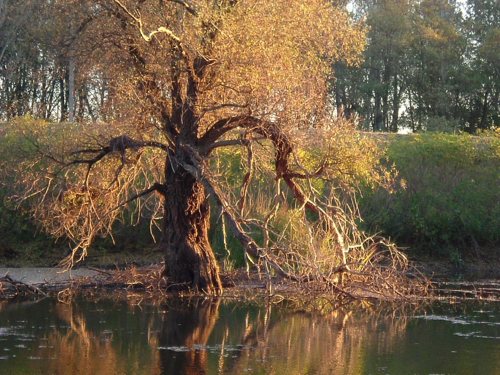 Szolnok,Kenderáztató