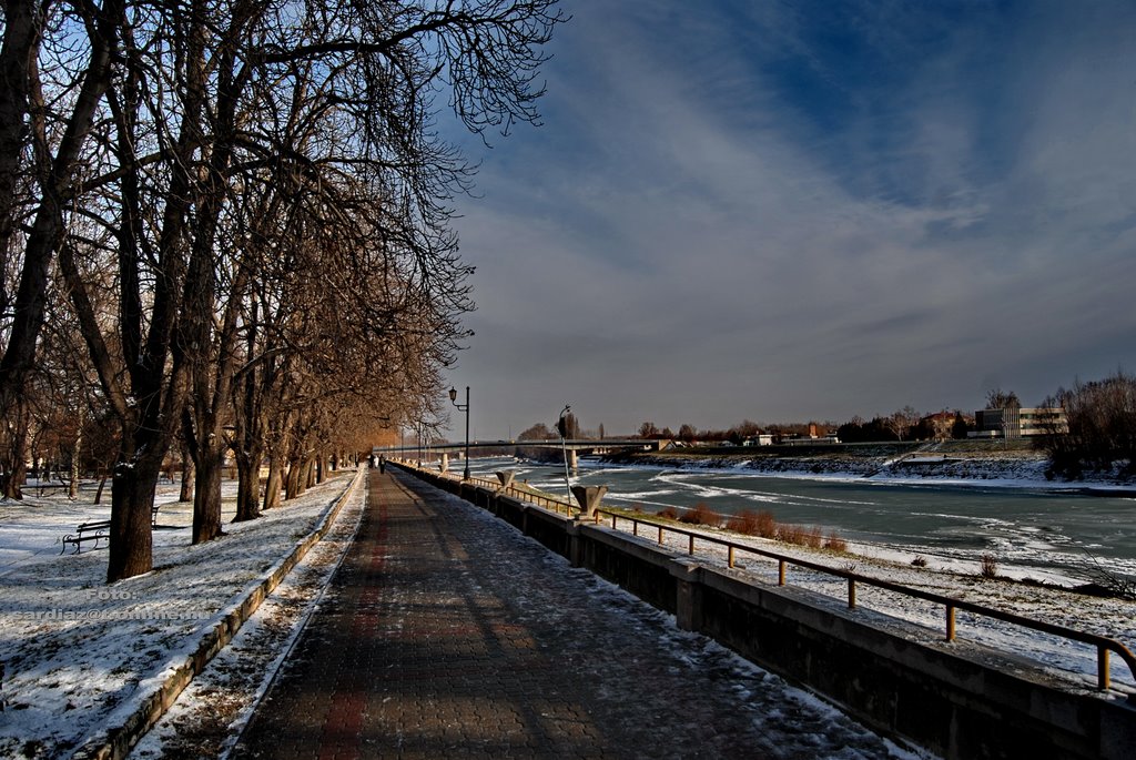 Riverside in winter - Szolnok Tisza-part DSC_3649-1