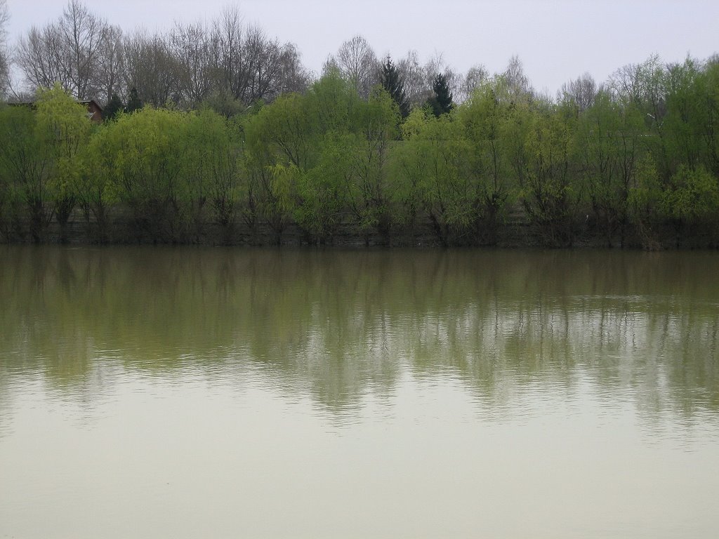 Tisza