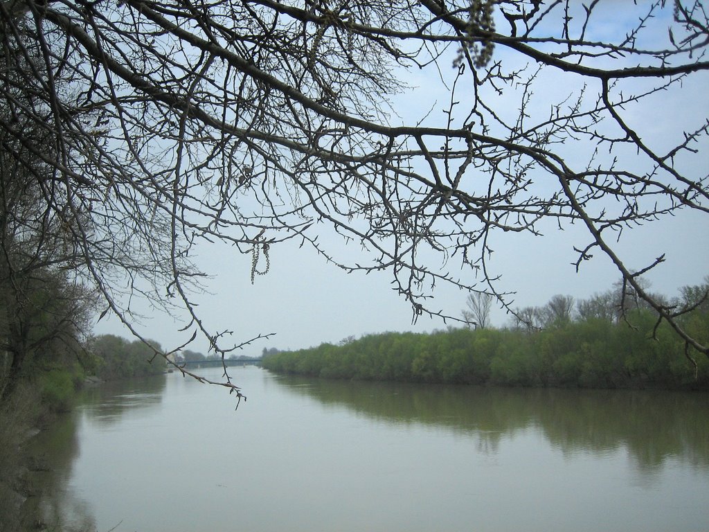 Tisza 2