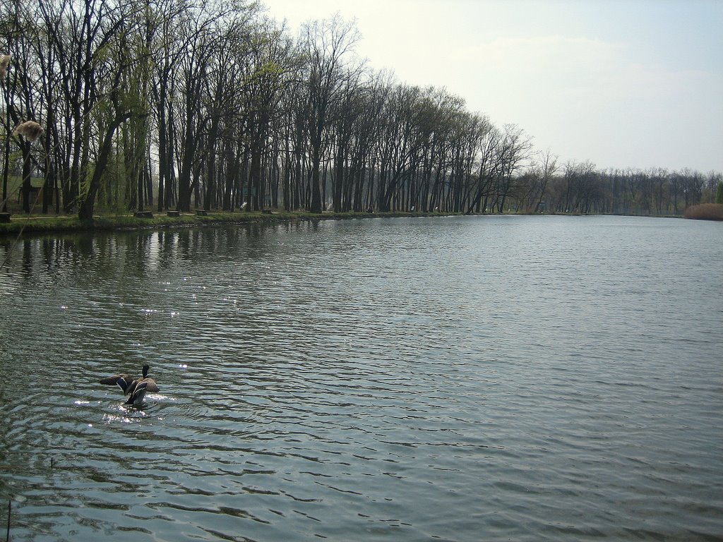 DS00040