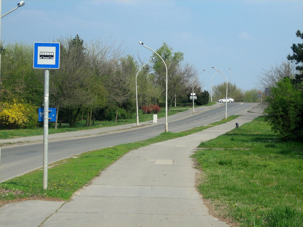 DS00041