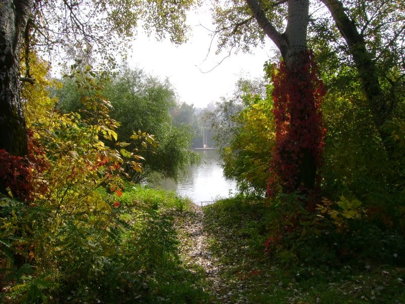 SZOLNOK - TISZA PART