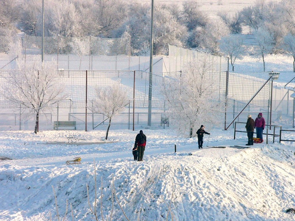 (Szolnok )      Tél......Winter