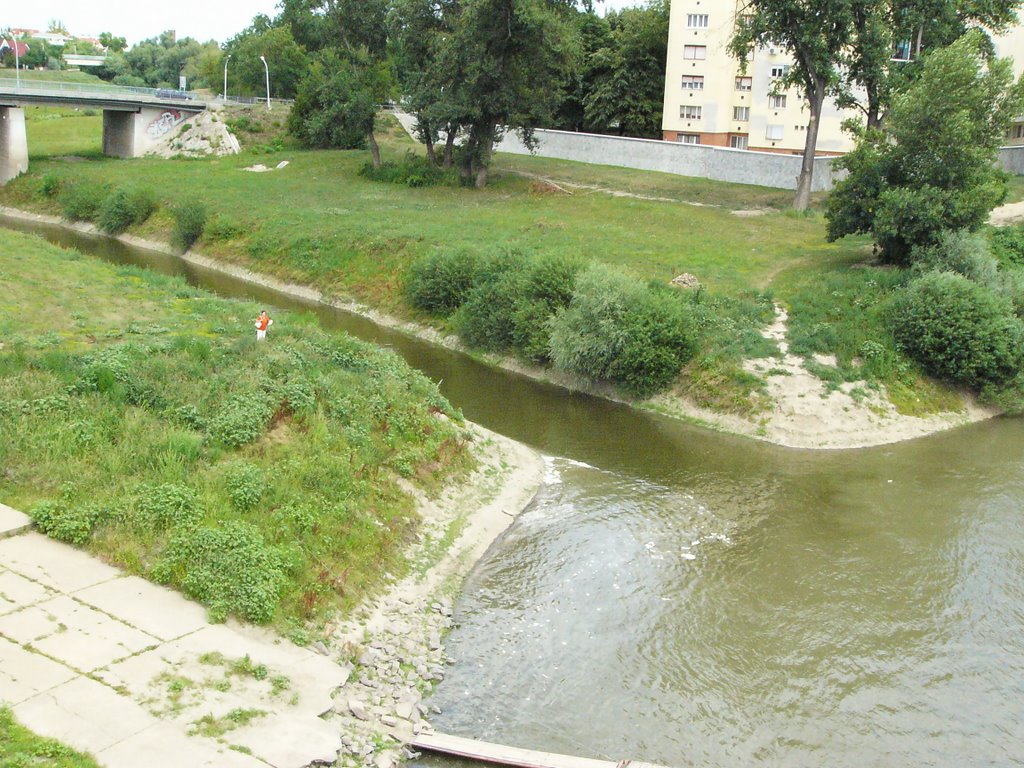 A Tisza és a Zagyva