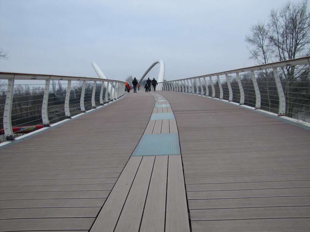 Tiszavirág híd,Szolnok