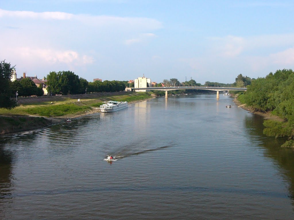 (Szolnok)  A Tisza