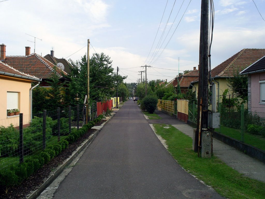 Kertvárosi utca